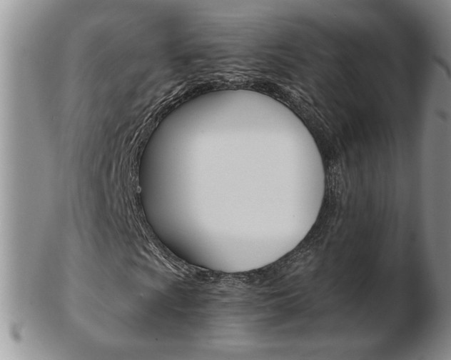X0000103131009200808221036