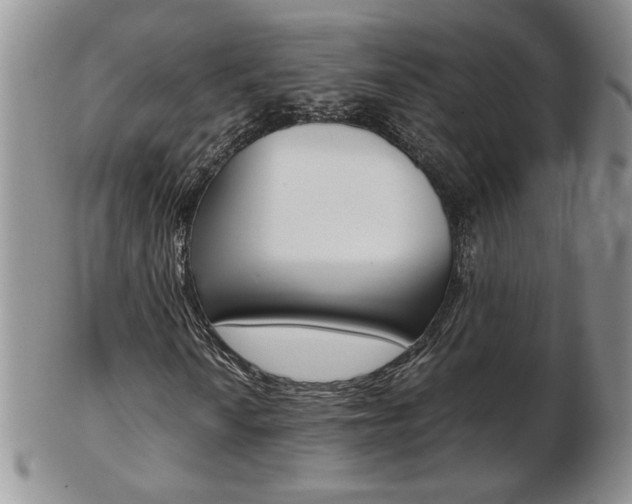 X0000103131010200808221036
