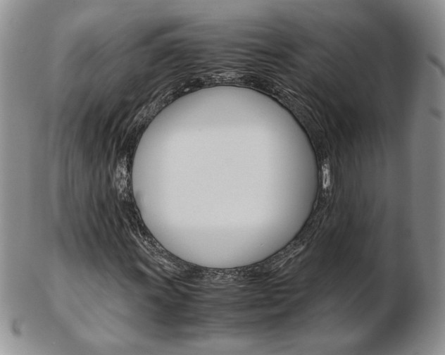 X0000103131011200808221036