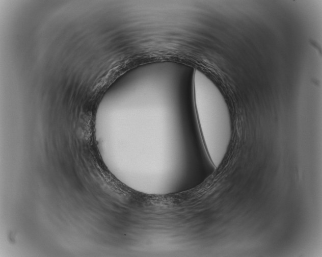 X0000103131012200808221036