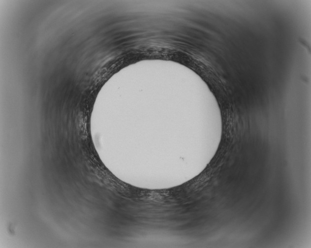 X0000103131013200808221036