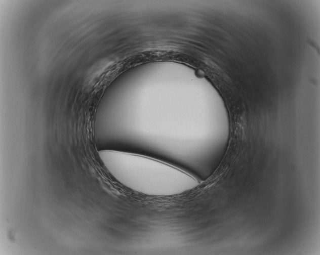 X0000103131014200808221036