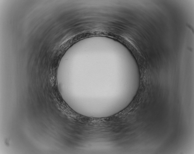 X0000103131015200808221036