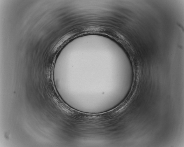 X0000103131017200808221036