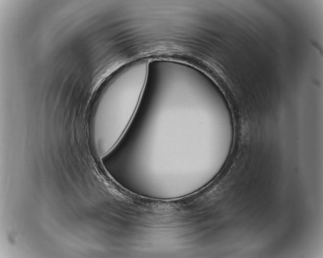 X0000103131018200808221036