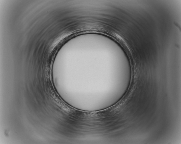 X0000103131019200808221036
