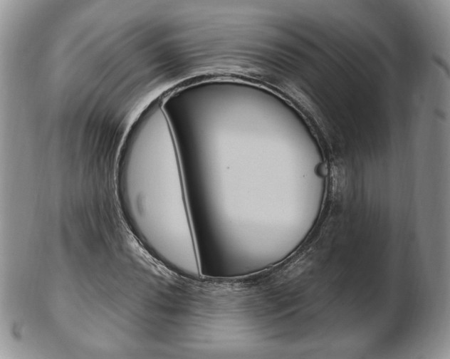 X0000103131020200808221036