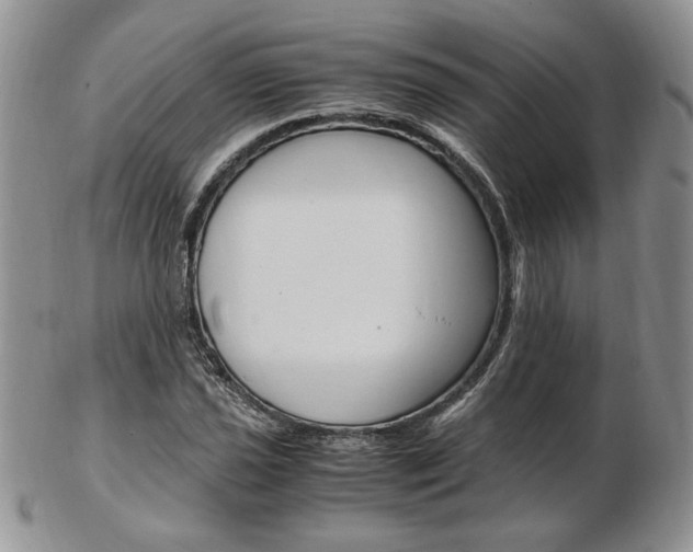 X0000103131021200808221036