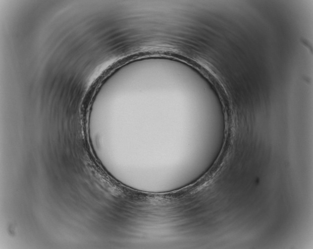 X0000103131022200808221036