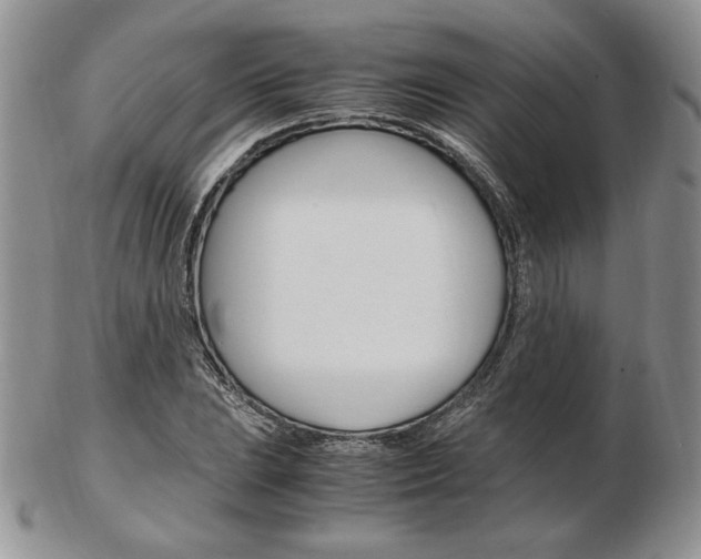 X0000103131023200808221036
