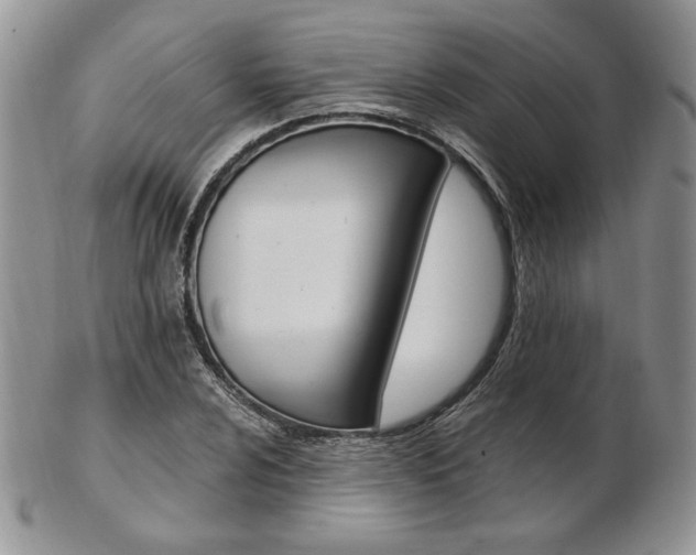 X0000103131024200808221036