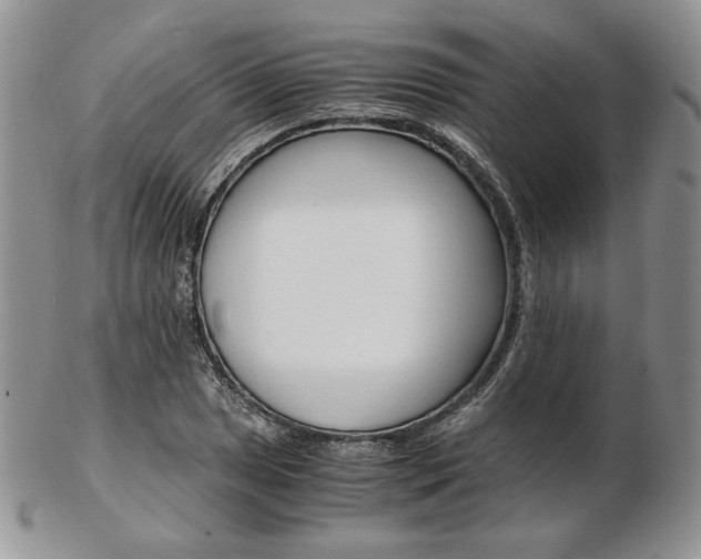 X0000103131025200808221036