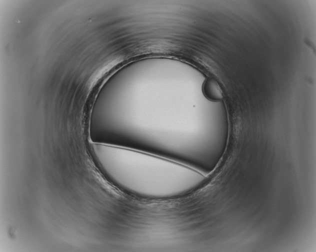 X0000103131026200808221036