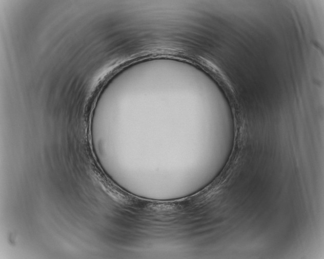 X0000103131027200808221036