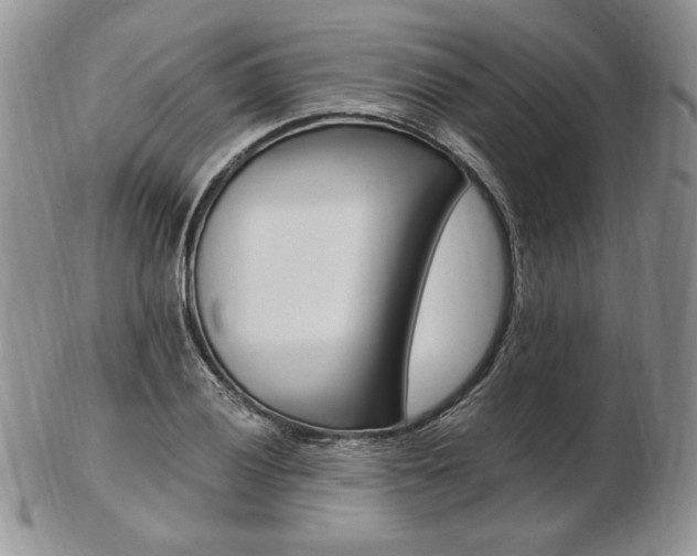 X0000103131028200808221036