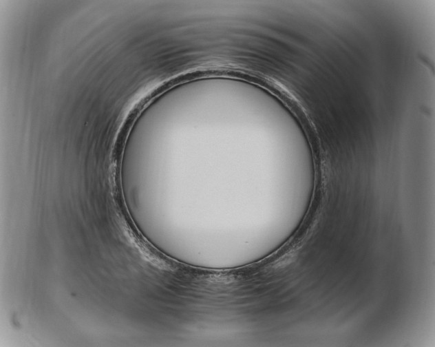 X0000103131029200808221036