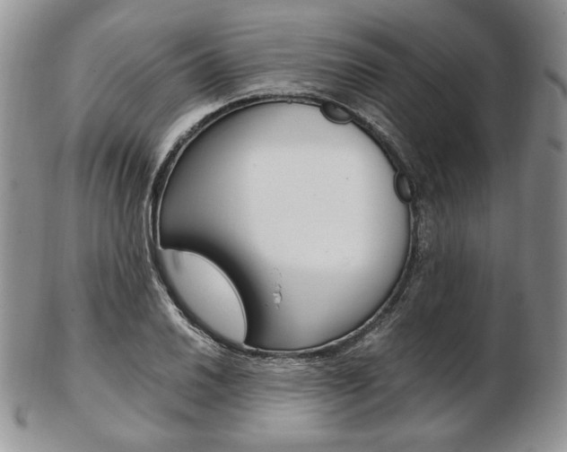 X0000103131030200808221036