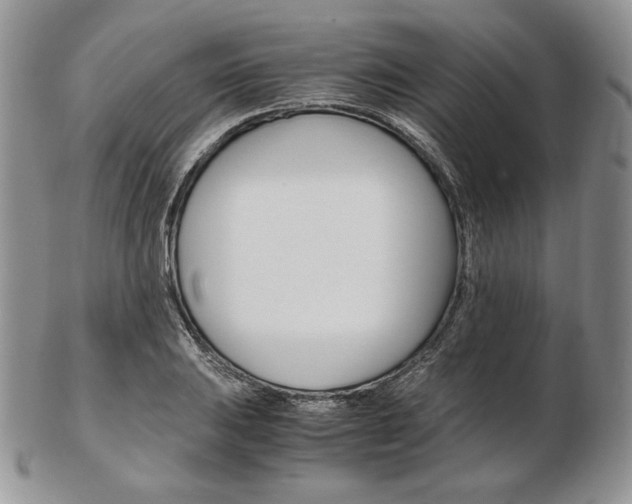 X0000103131031200808221036