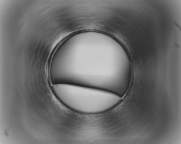 X0000103131032200808221036