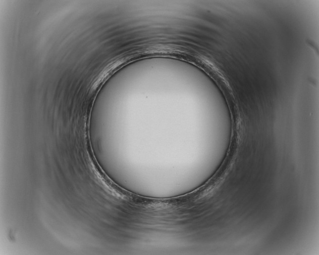 X0000103131033200808221036