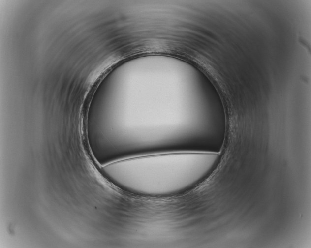 X0000103131034200808221036