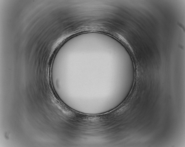 X0000103131035200808221036