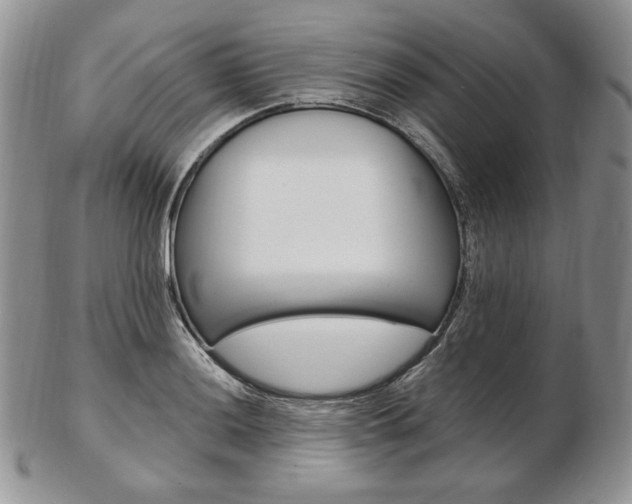 X0000103131036200808221036