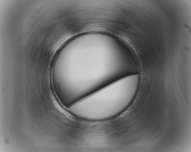 X0000103131038200808221036