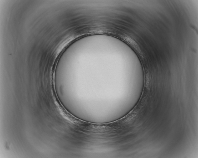 X0000103131039200808221036