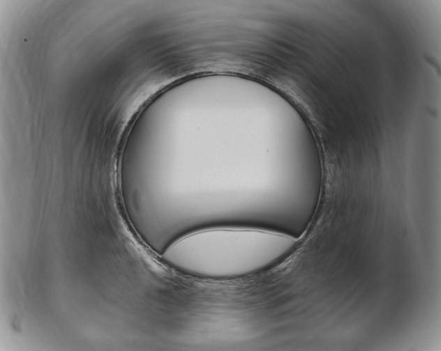 X0000103131040200808221037