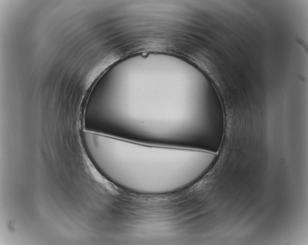 X0000103131042200808221037