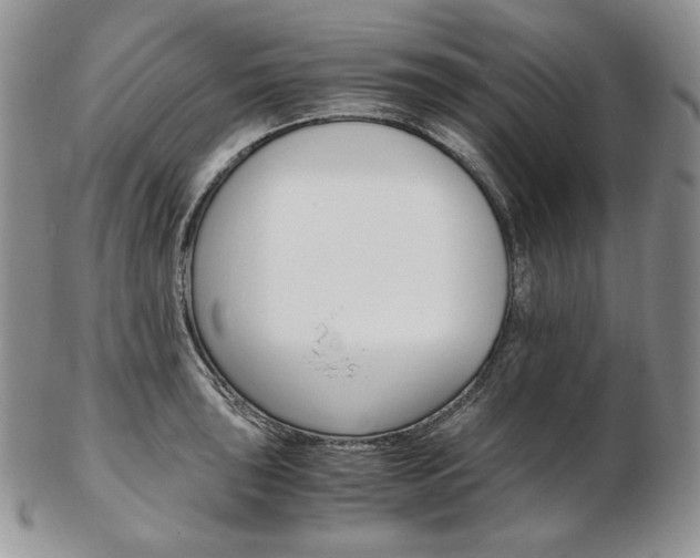 X0000103131043200808221037