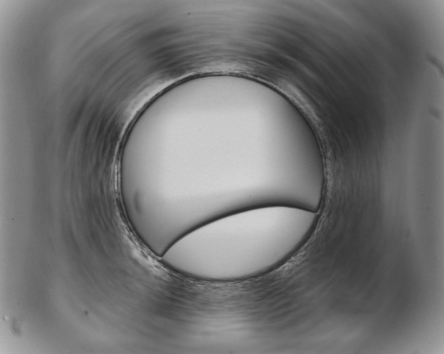 X0000103131044200808221037