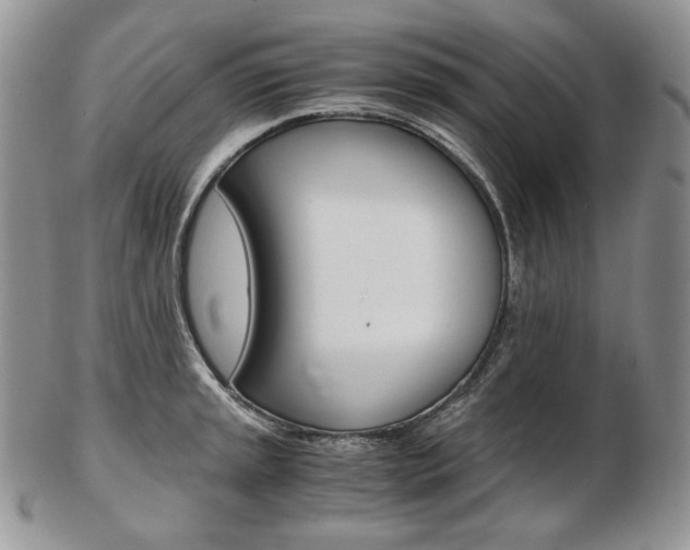 X0000103131045200808221037