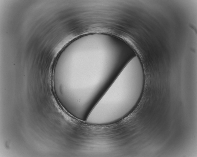 X0000103131046200808221037