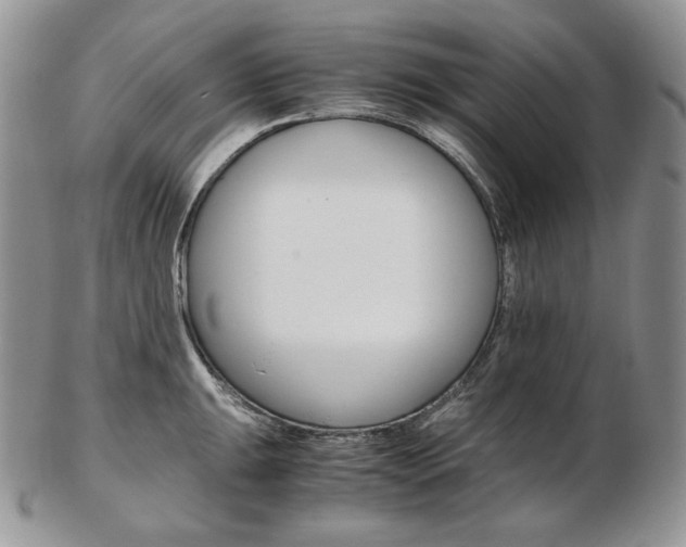 X0000103131047200808221037