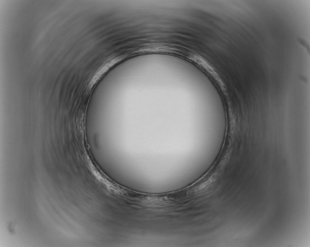 X0000103131049200808221037