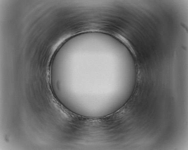X0000103131051200808221037