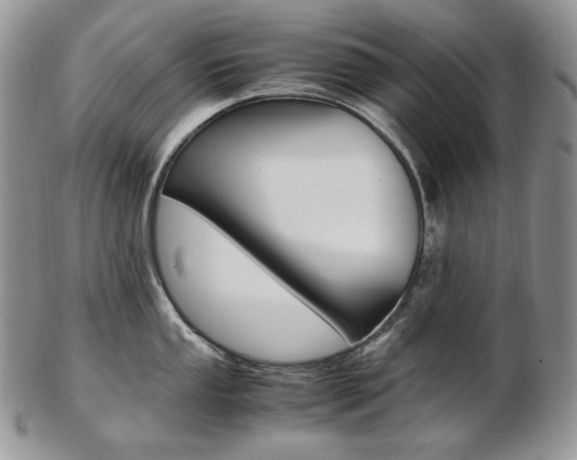 X0000103131053200808221037