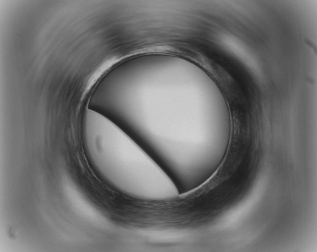 X0000103131054200808221037