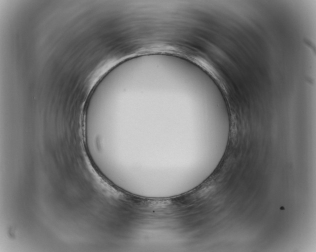 X0000103131055200808221037