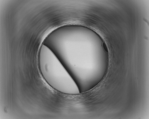 X0000103131056200808221037