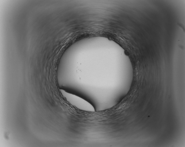 X0000103131057200808221036