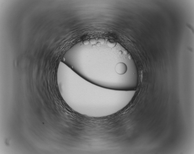 X0000103131059200808221036
