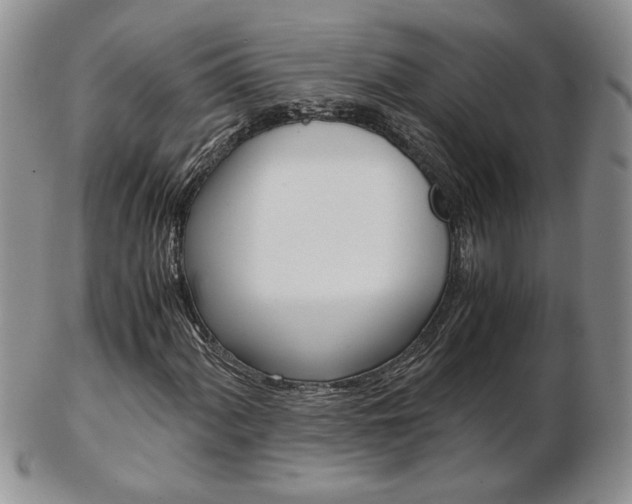 X0000103131060200808221036