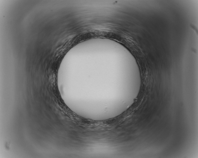 X0000103131061200808221036
