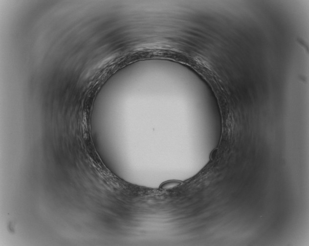 X0000103131062200808221036