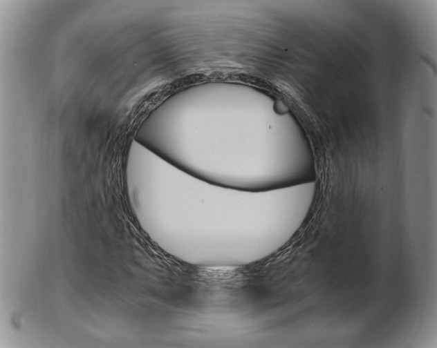X0000103131063200808221036