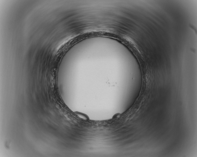 X0000103131064200808221036