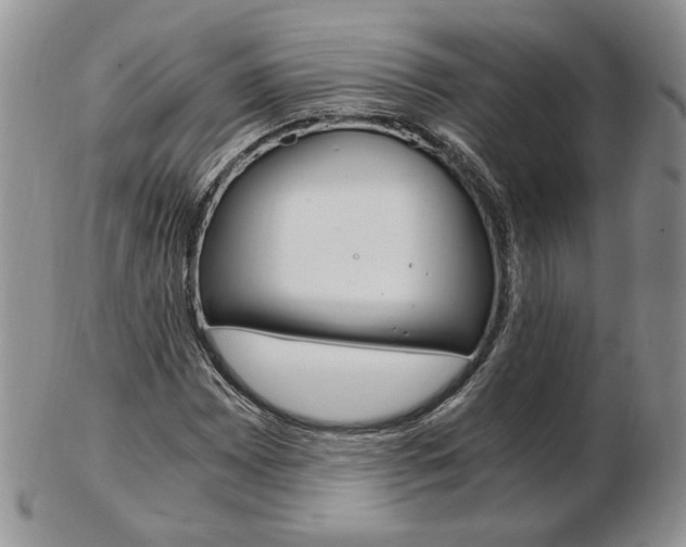 X0000103131065200808221036